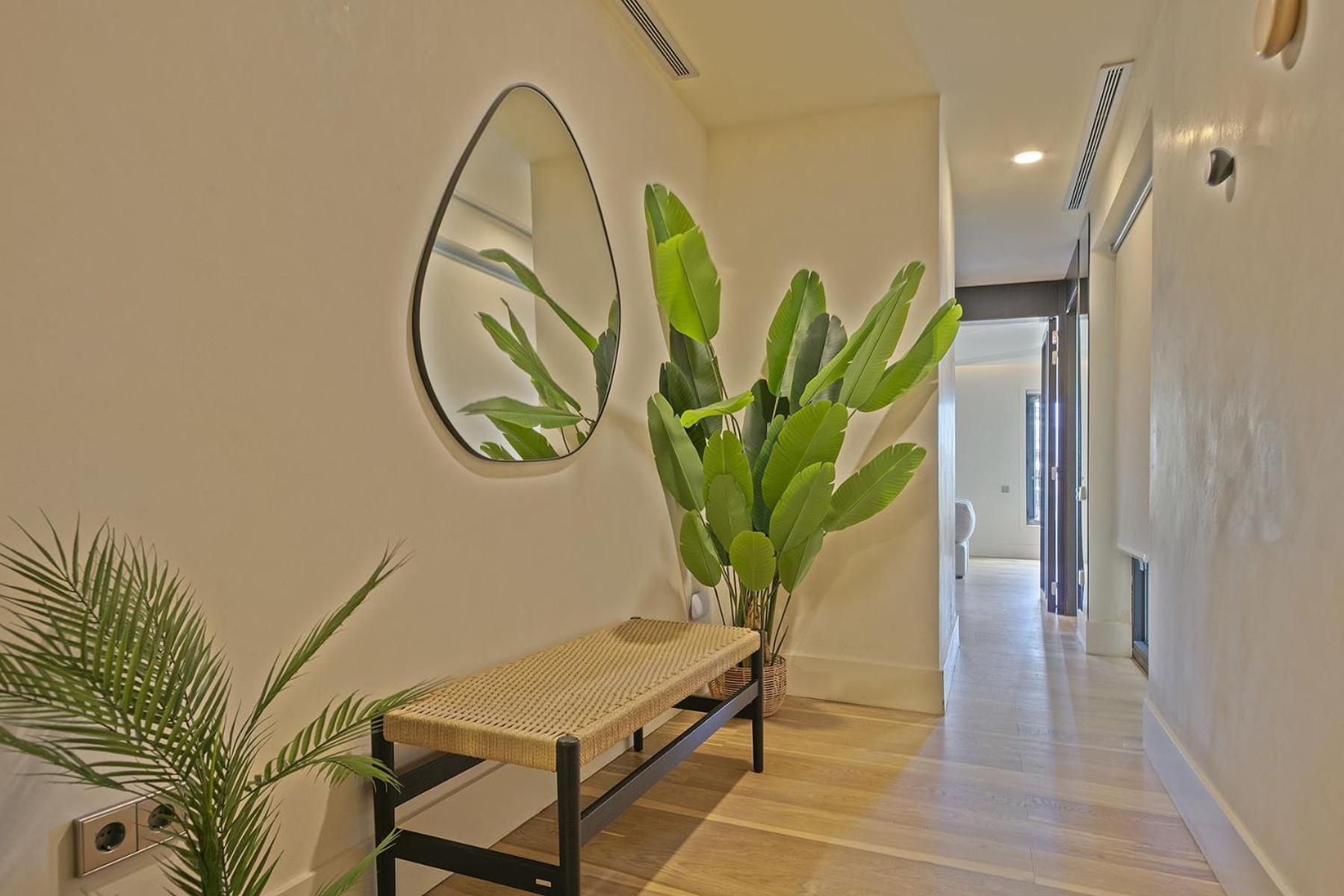 דירות ברצלונה Ola Living Paseo De Gracia מראה חיצוני תמונה