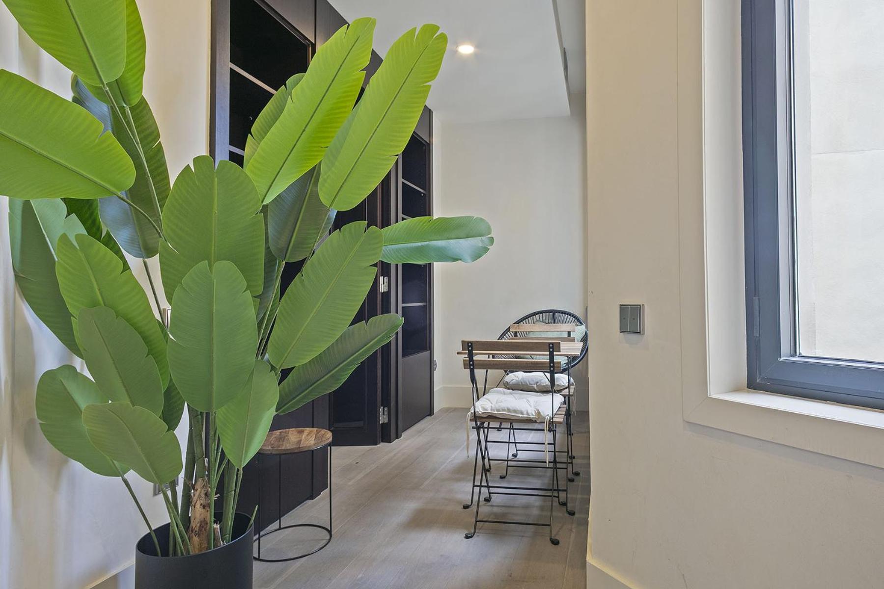 דירות ברצלונה Ola Living Paseo De Gracia מראה חיצוני תמונה